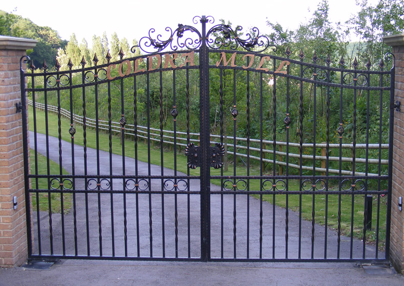 Aquarius Metal Gate Style